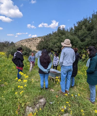 קורס מגדלים חיים אביב