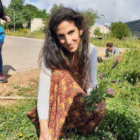 קרן אור יוספיאן